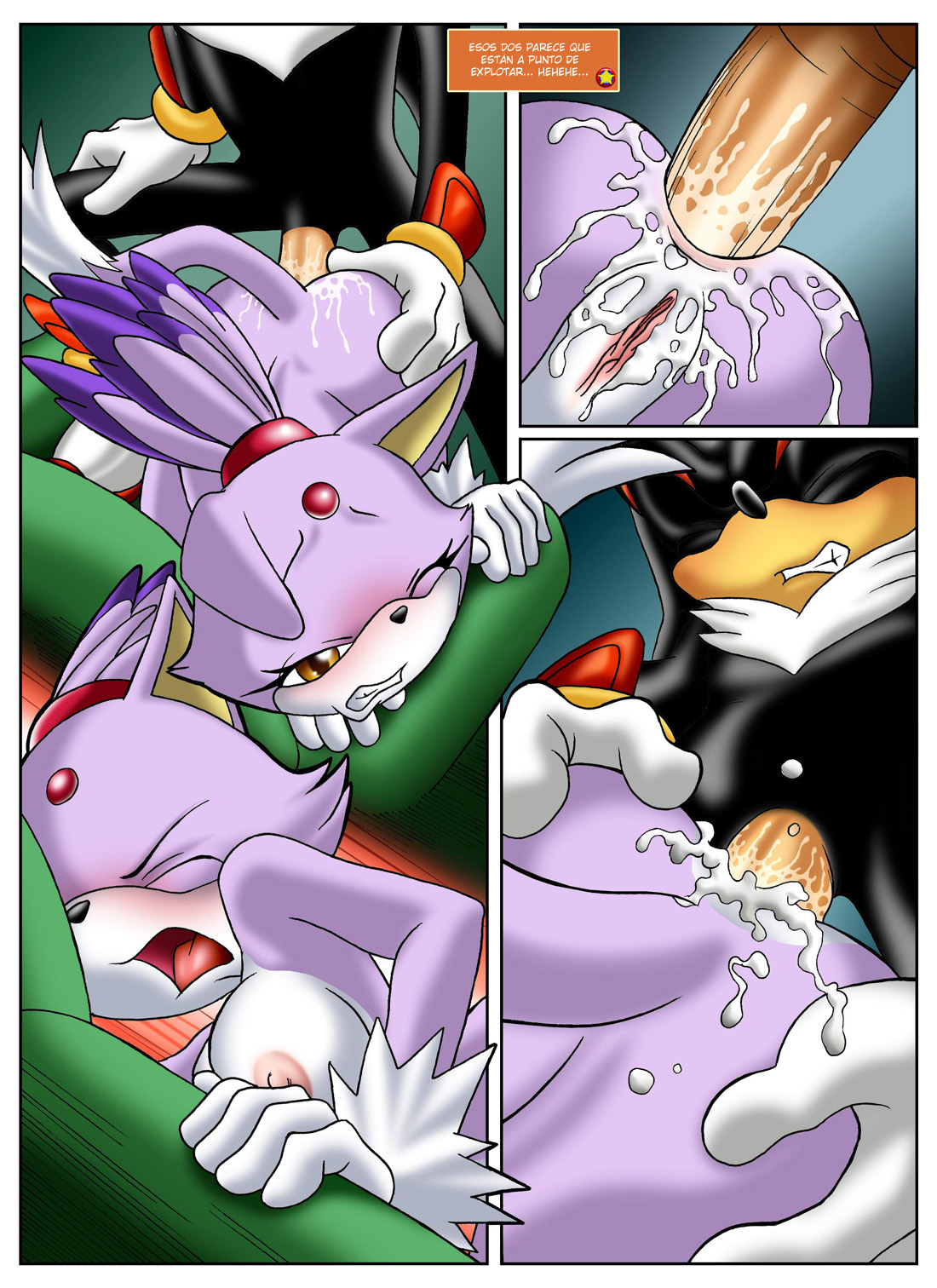 Sonic XXX Project 2 image number 19