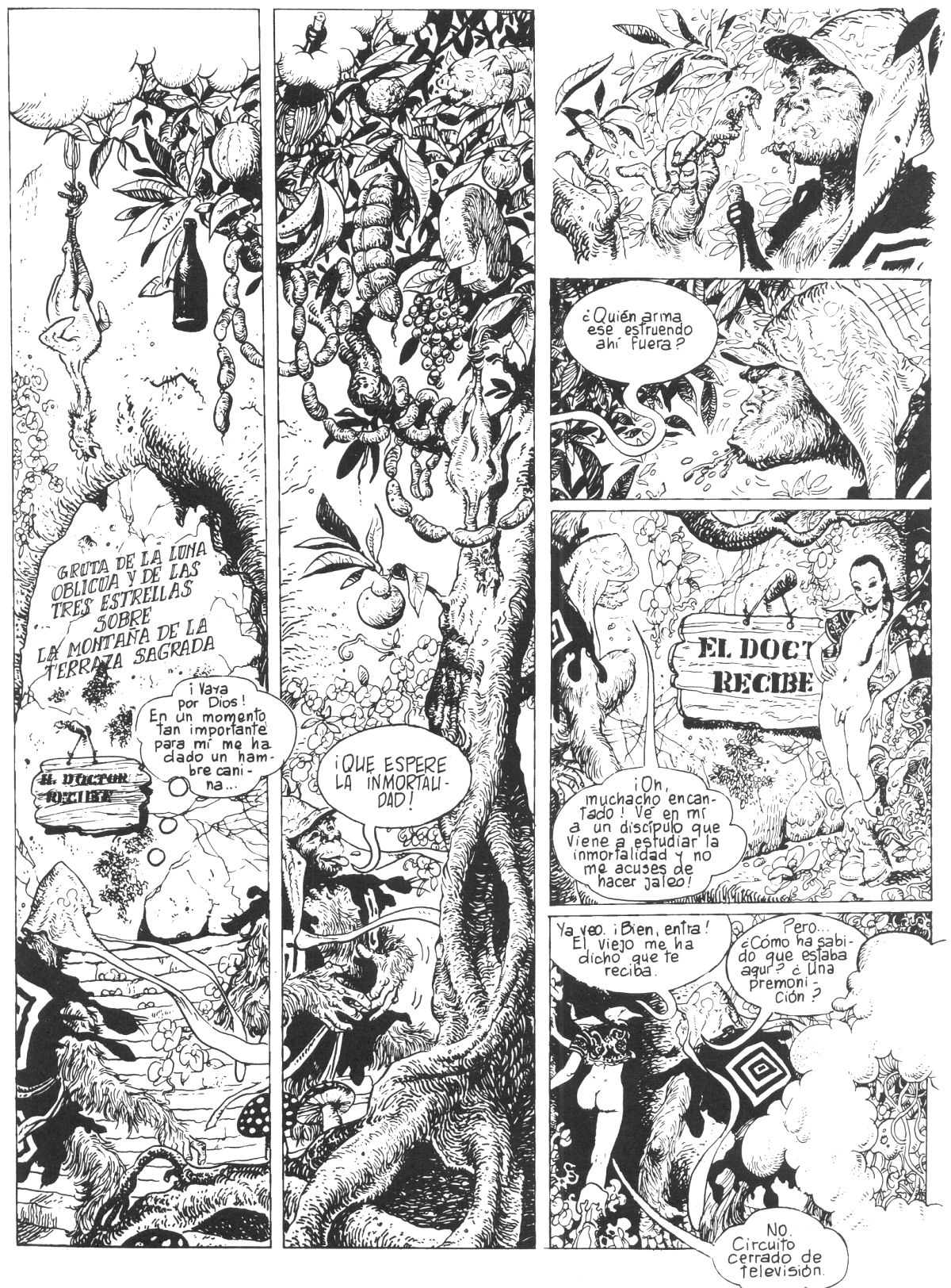 El rey mono image number 11