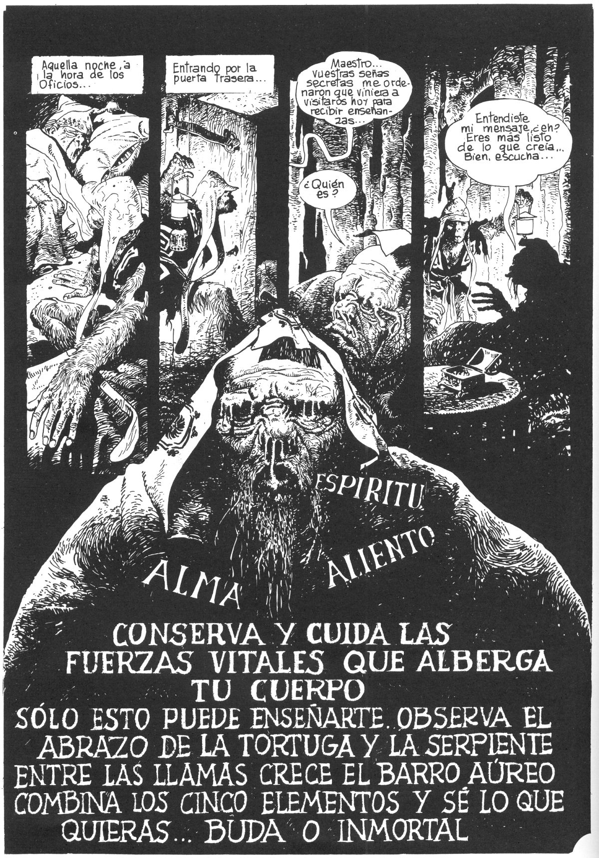 El rey mono image number 16