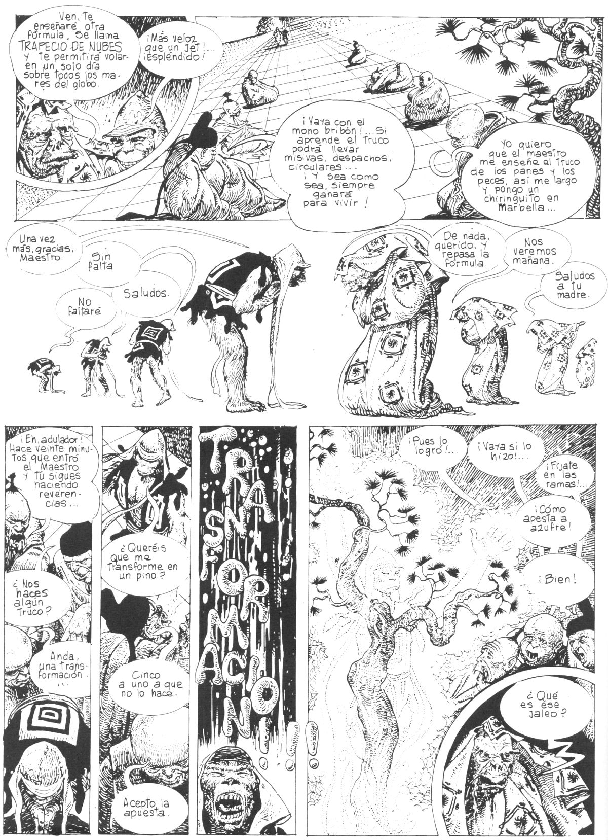 El rey mono image number 18