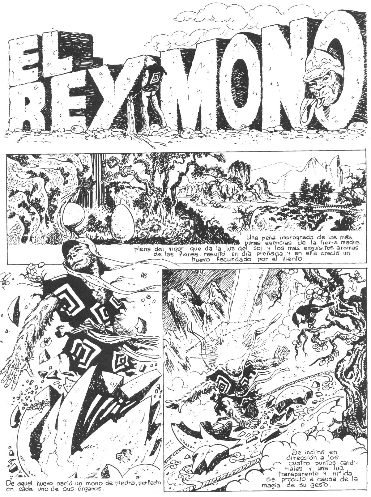 El rey mono image number 1