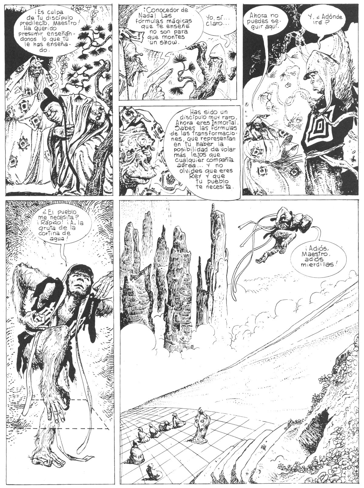 El rey mono image number 19