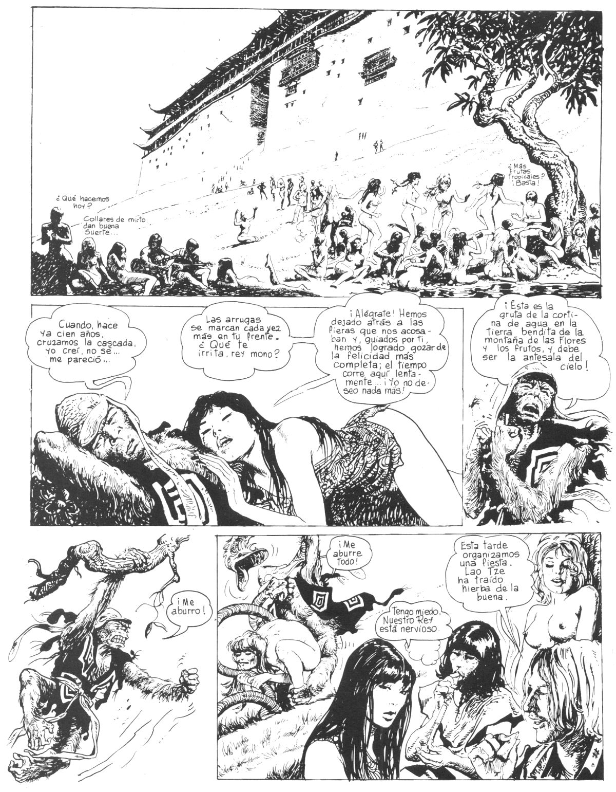 El rey mono image number 6