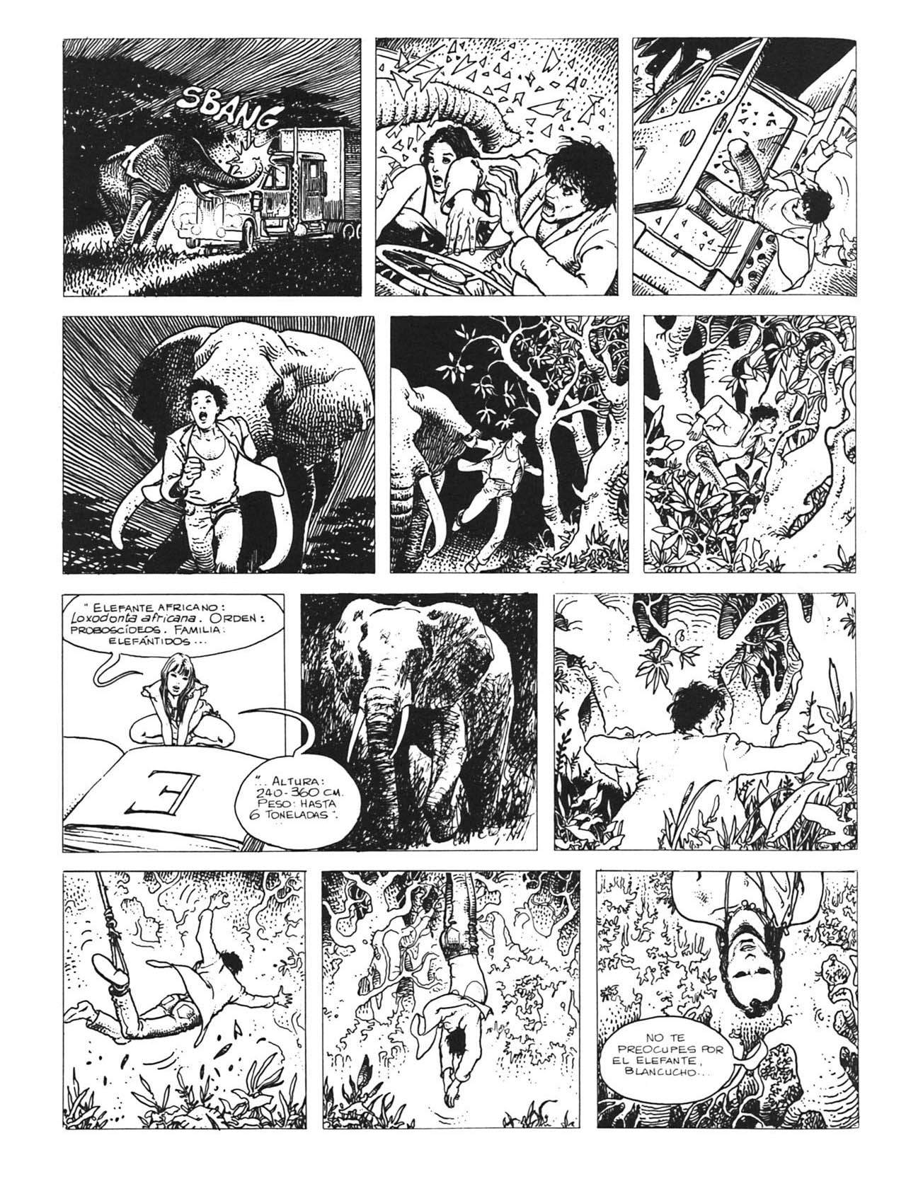 Las Aventuras Africanas De Giuseppe Bergman 1-4 image number 86