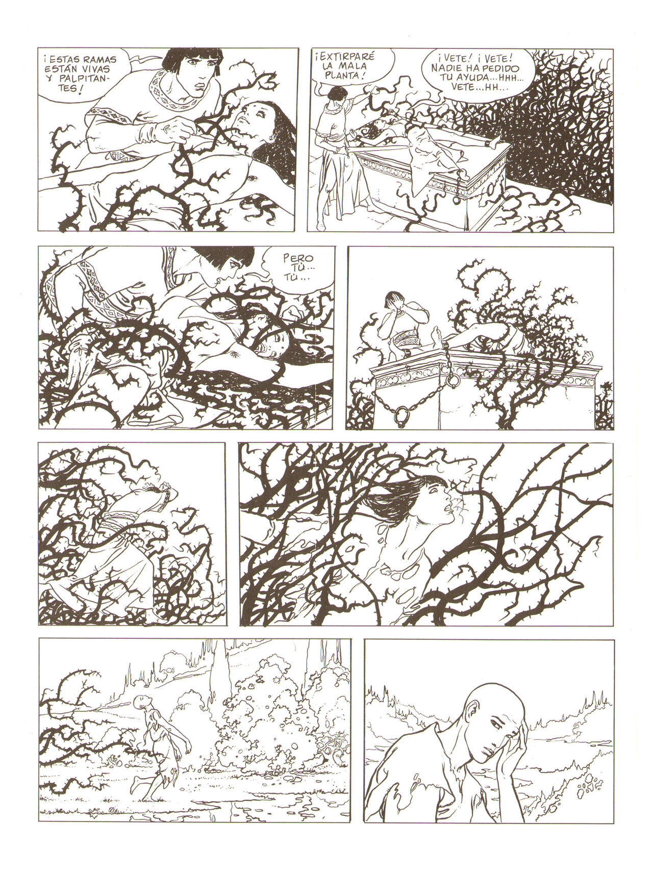 Aventuras orientales de Giuseppe Bergman image number 73