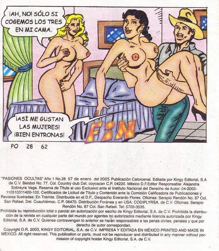 Pasiones Ocultas 0028 image number 31