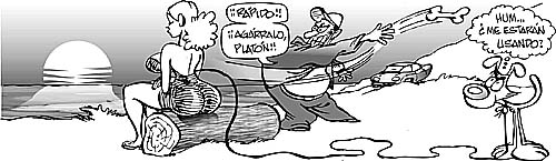 Polamita image number 395