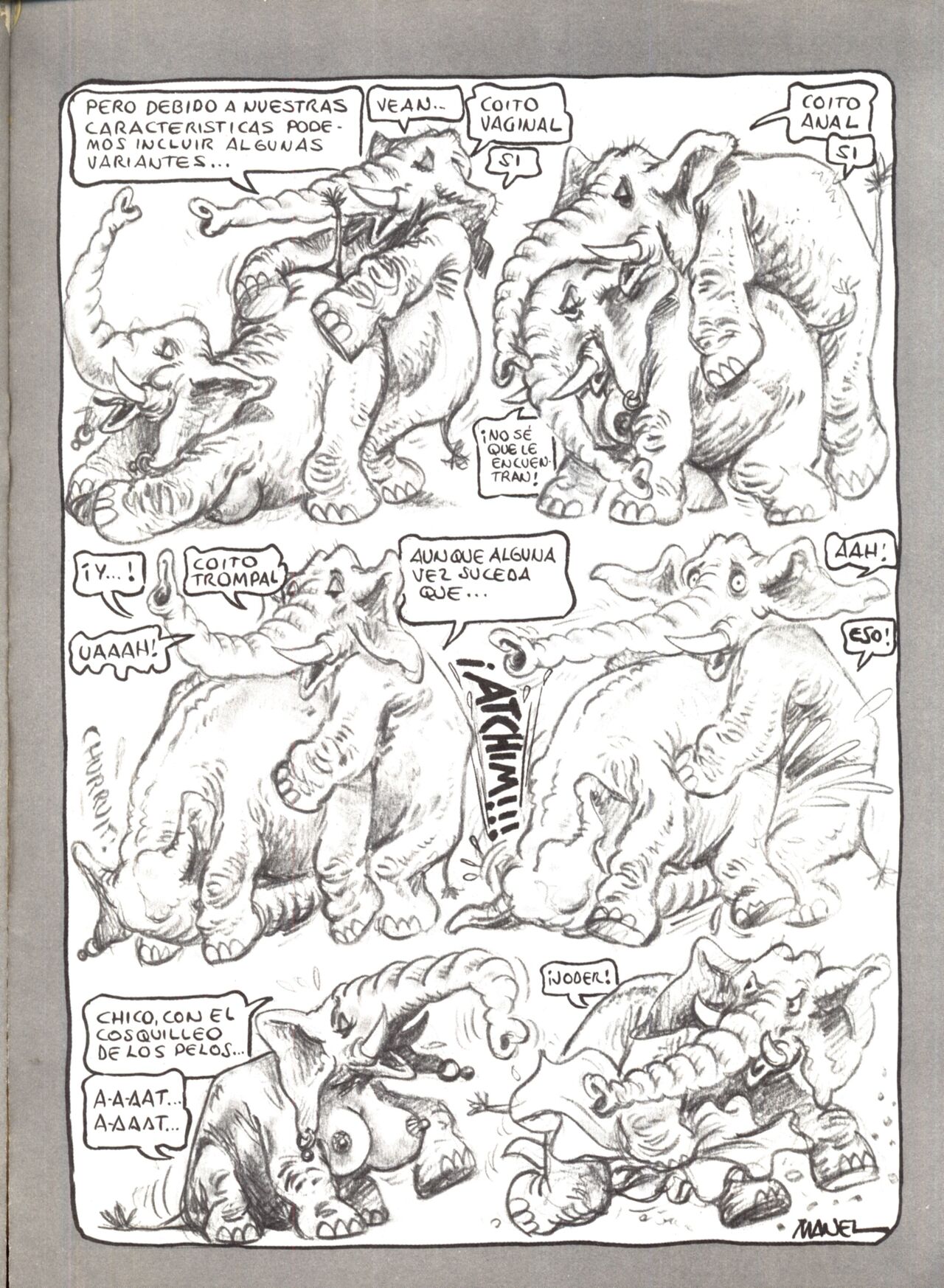 Manolo Show 2 x Carasucia image number 56