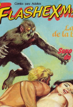 Flashexman 05